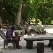 Wallis et Futuna : l'île d'Alofi et son unique habitant