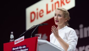 Die Linke: Linkenparteitag stimmt gegen bedingungsloses Grundeinkommen