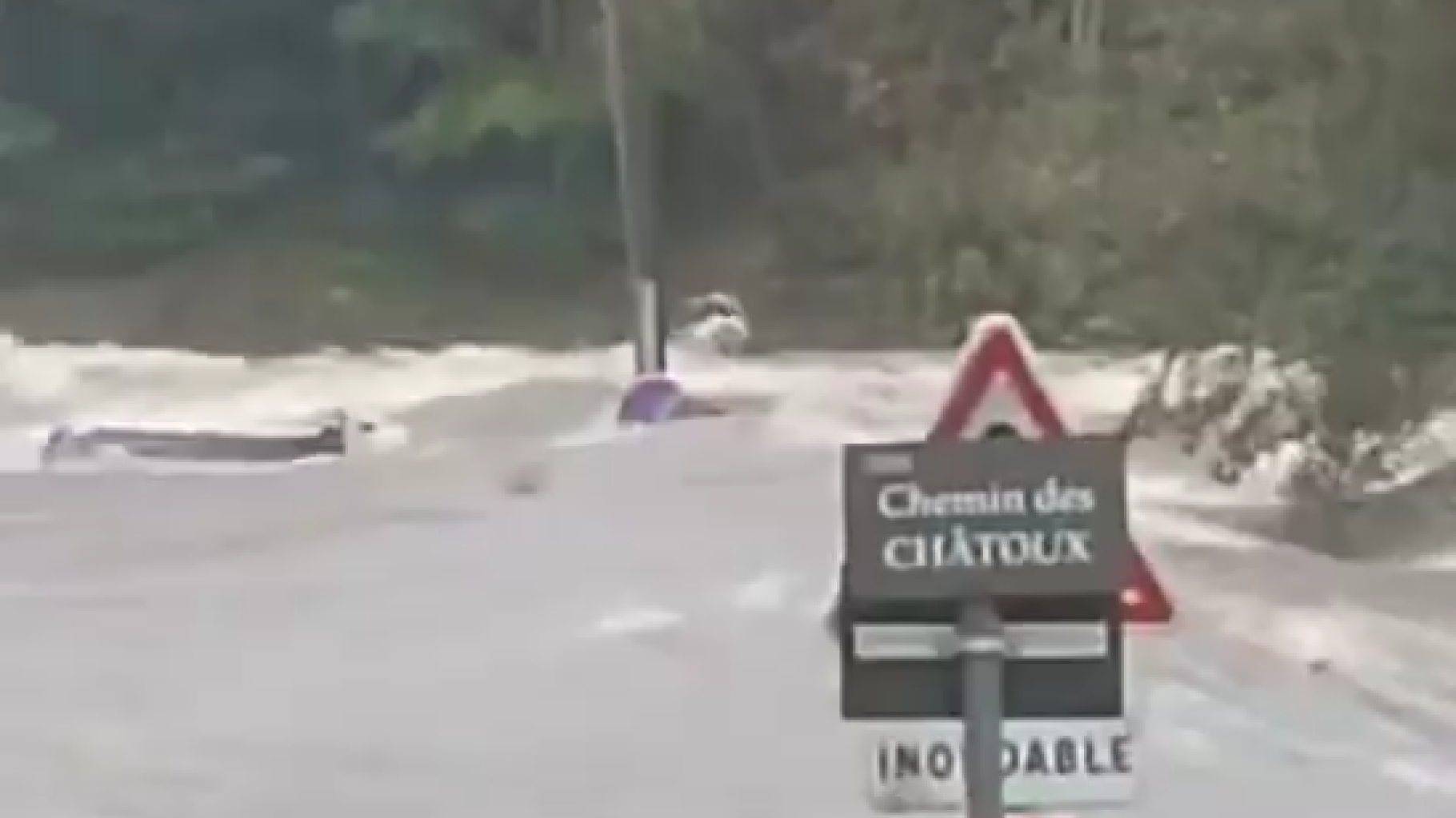 En Haute-Loire, la vache symbole de la crue historique n’a pas survécu