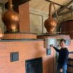 "Distillation" : les producteurs de Cognac entament leur campagne de distillation, à l’heure des tensions douanières avec la Chine