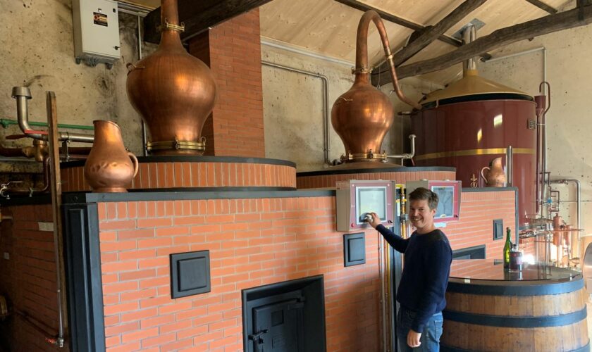 "Distillation" : les producteurs de Cognac entament leur campagne de distillation, à l’heure des tensions douanières avec la Chine