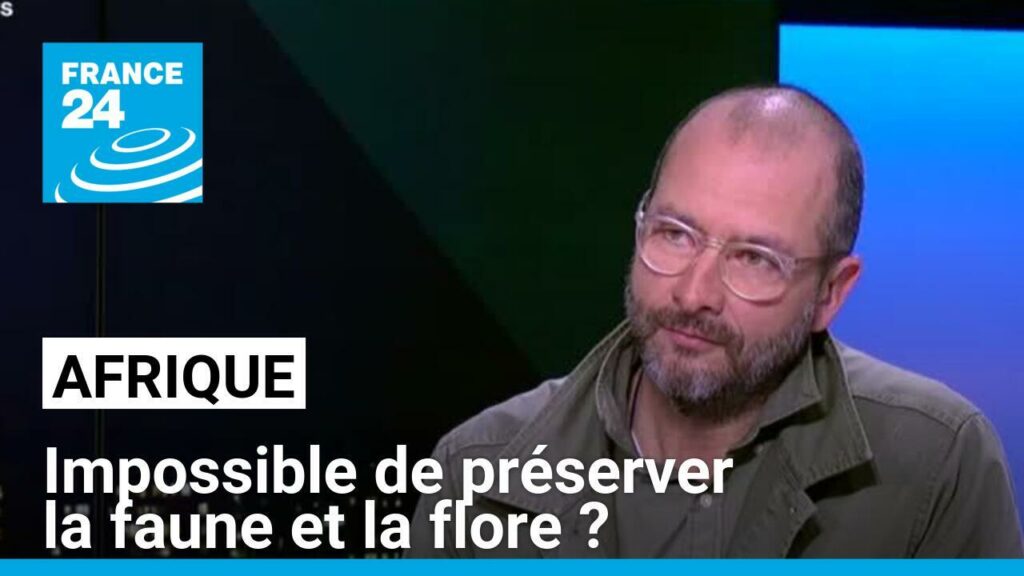 Préserver la splendeur de la faune et la flore africaine : une mission impossible ?