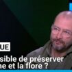 Préserver la splendeur de la faune et la flore africaine : une mission impossible ?