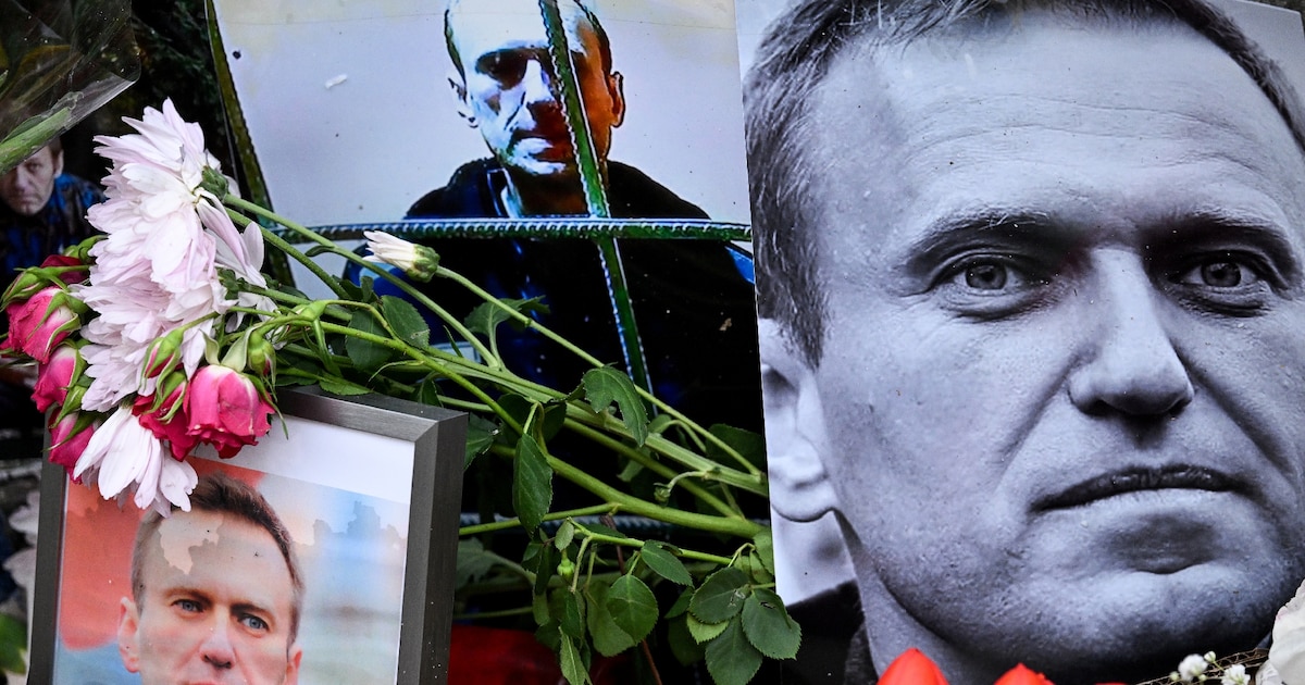 Des fleurs déposées autour de portraits de l'opposant russe Alexeï Navalny, mort en prison, le 23 février 2024 à Francfort, en Allemagne