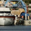 L’Albanie renvoie 12 migrants en Italie, revers cinglant pour Meloni