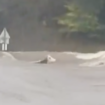 Inondations dans le Centre-Est : Panga, la vache symbole de la crue dévastatrice, retrouvée morte