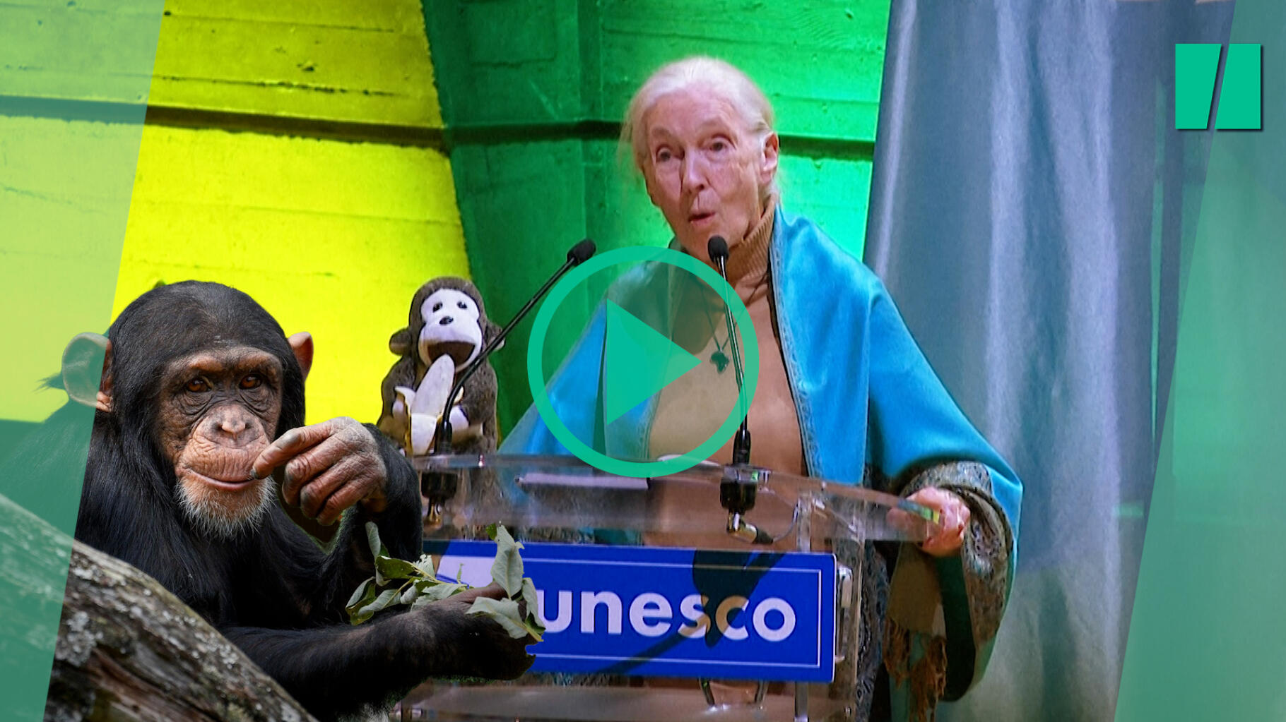 Jane Goodall s’adresse à l’Unesco en parlant chimpanzé et alerte sur l’urgence climatique