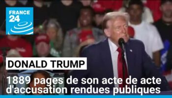 Procès de Donald Trump suite à l'assaut du Capitole : publication de 1889 pages du dossier