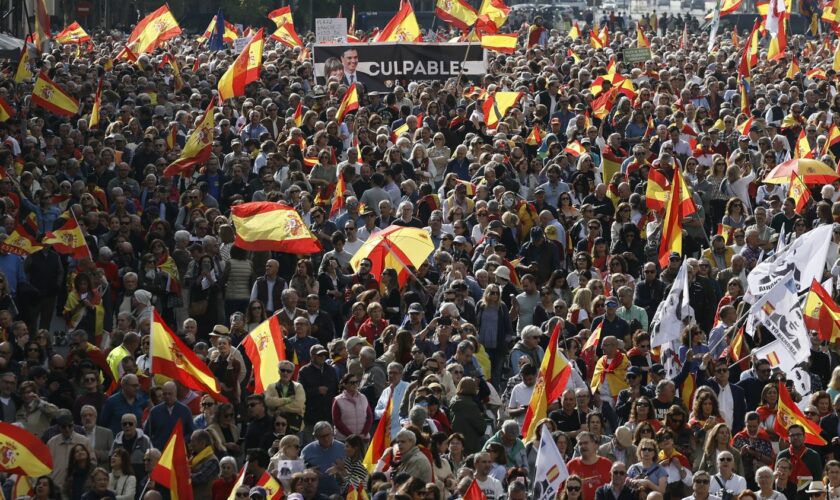 Espagne : des milliers de manifestants défilent contre le gouvernement de Pedro Sanchez