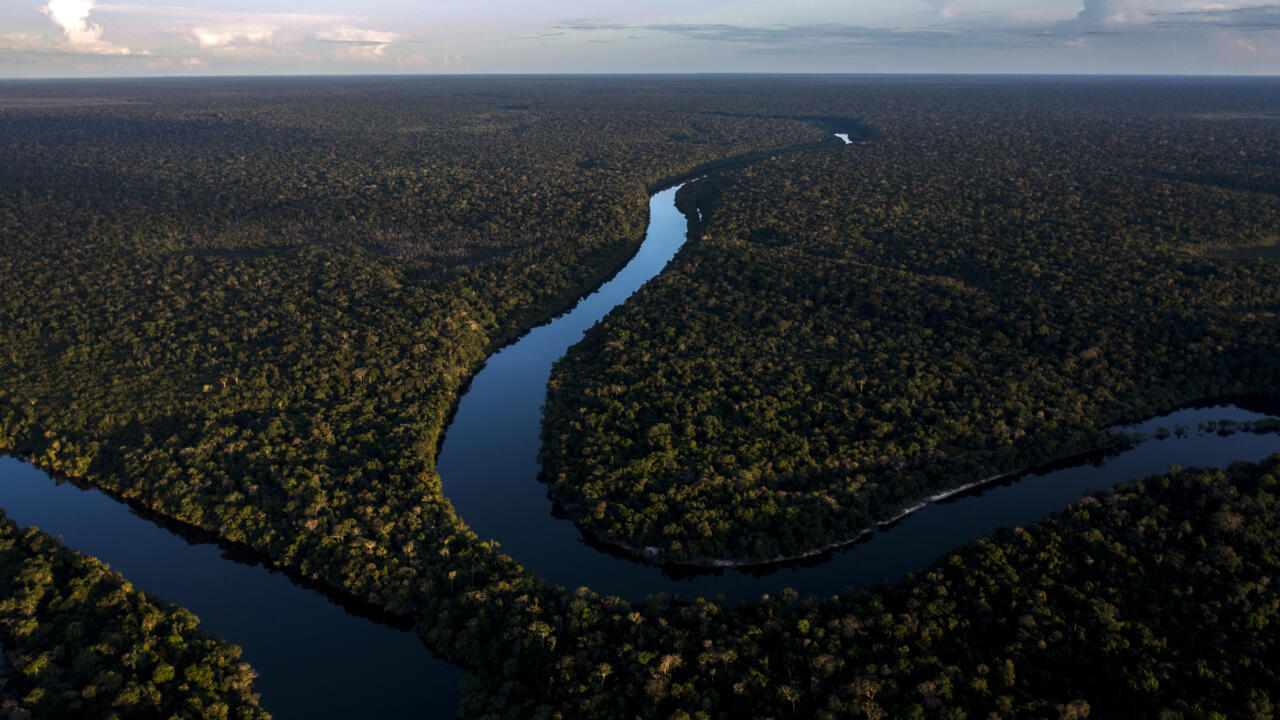 COP16 sur la biodiversité : à Cali, les États sommés de transformer les paroles en actes