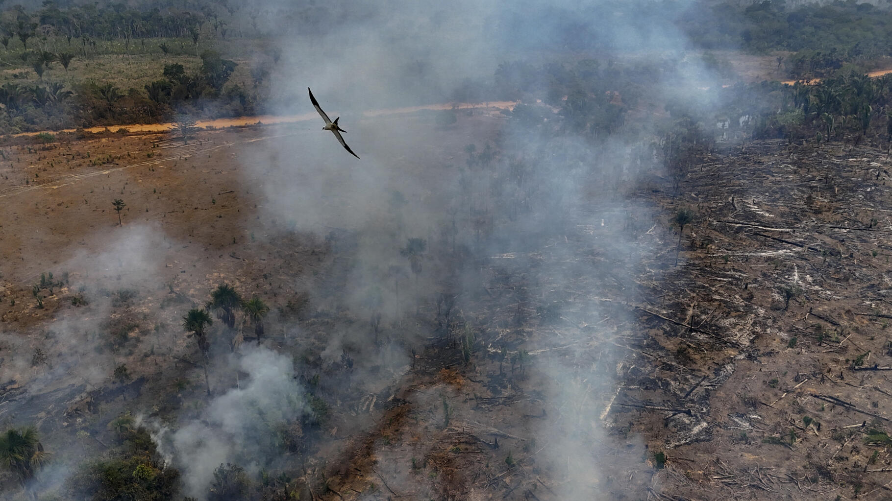 COP16 en Colombie : avec les « crédits biodiversité », le risque d’un « blanc-seing à un business sur la nature »