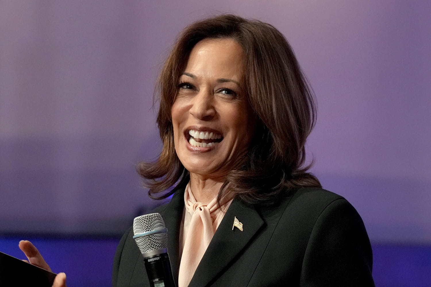 Kamala Harris : sondages, programmes... Des résultats encourageants, mais suffisants pour gagner la présidentielle ?