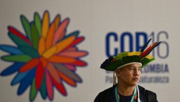 COP16 biodiversité : en Colombie, les Amérindiens veulent mettre les projecteurs sur l’Amazonie