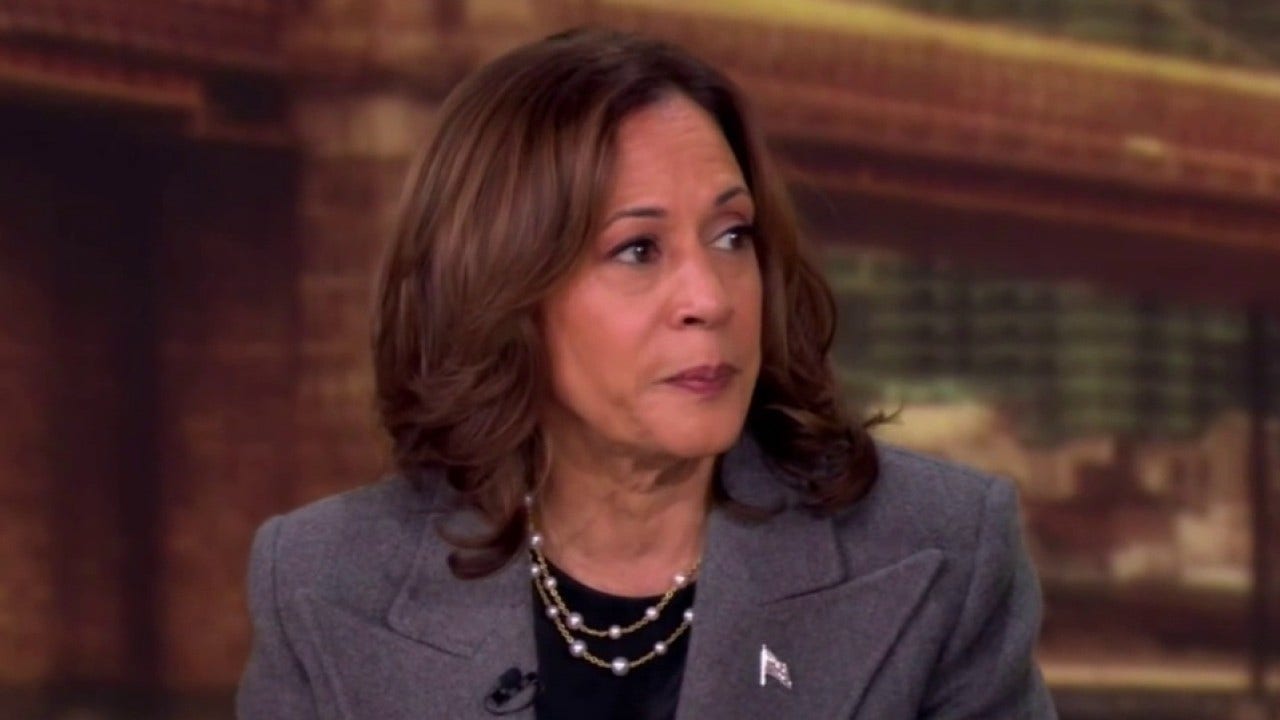 Liberal pundit tells CNN ‘White folks’ should face 'accountability’ for not 'saving democracy’ if Harris loses