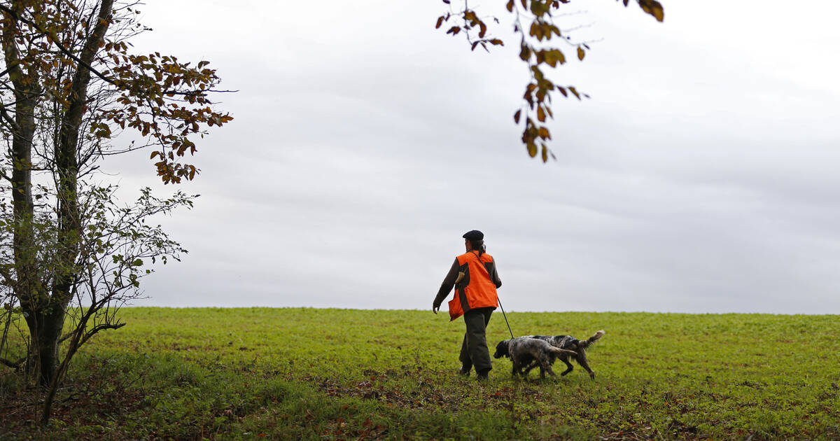 Dans la Somme, un maire agressé par des chasseurs à qui il demandait de s’éloigner des habitations