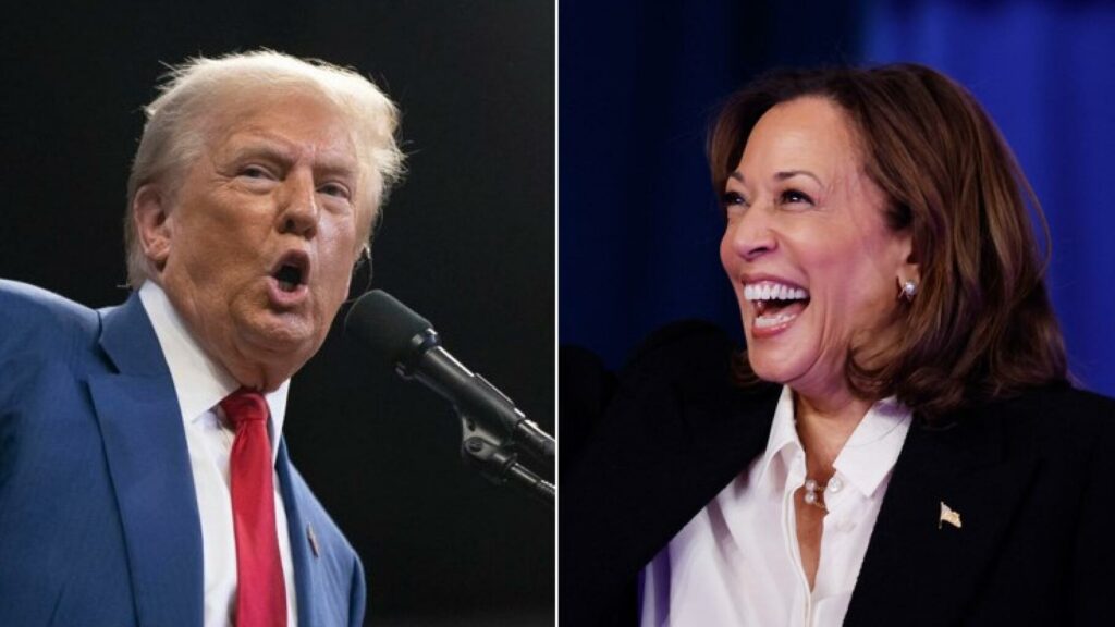 Trump vs Harris : pourquoi les bookmakers ont des prédictions bien différentes des sondages