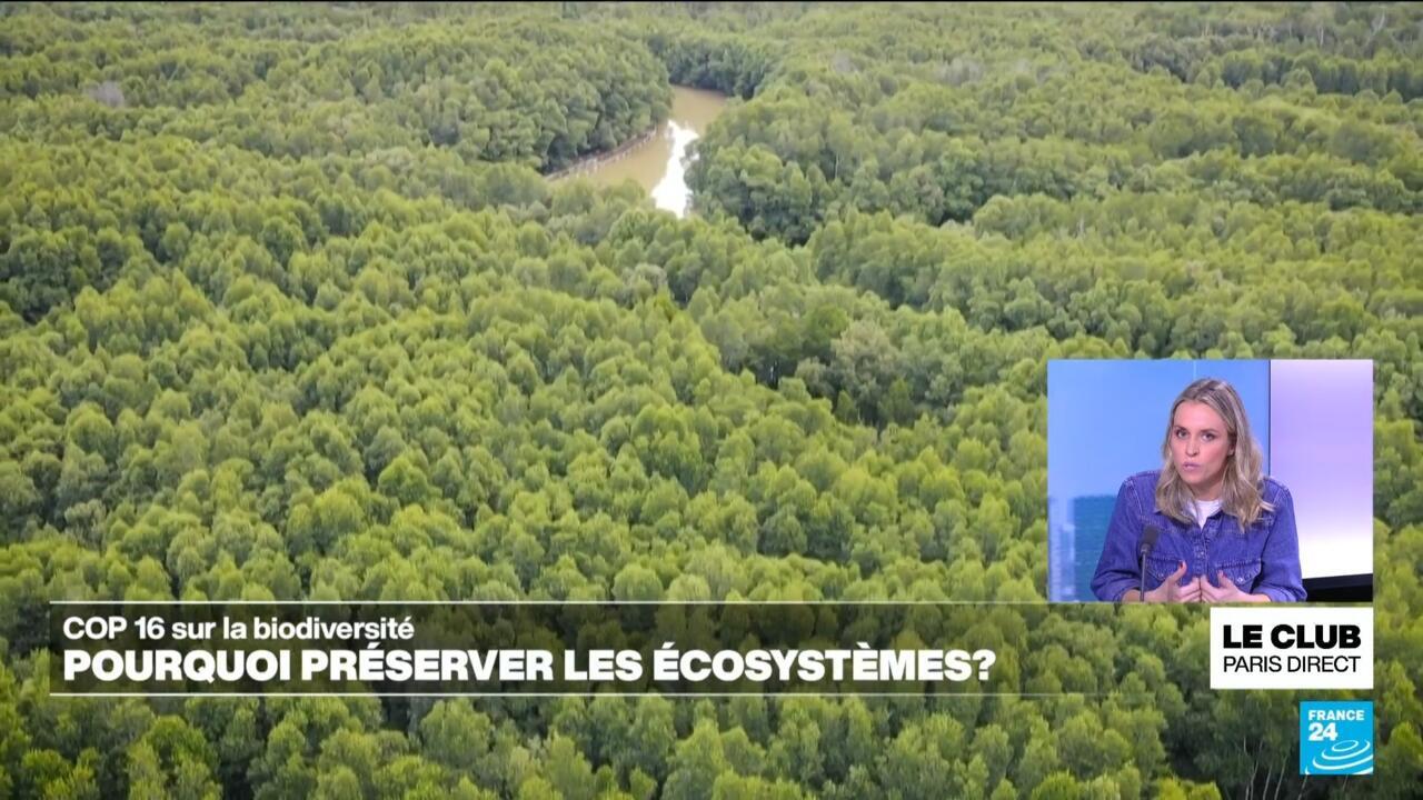 COP16 sur la biodiversité : pourquoi préserver les écosystèmes ?