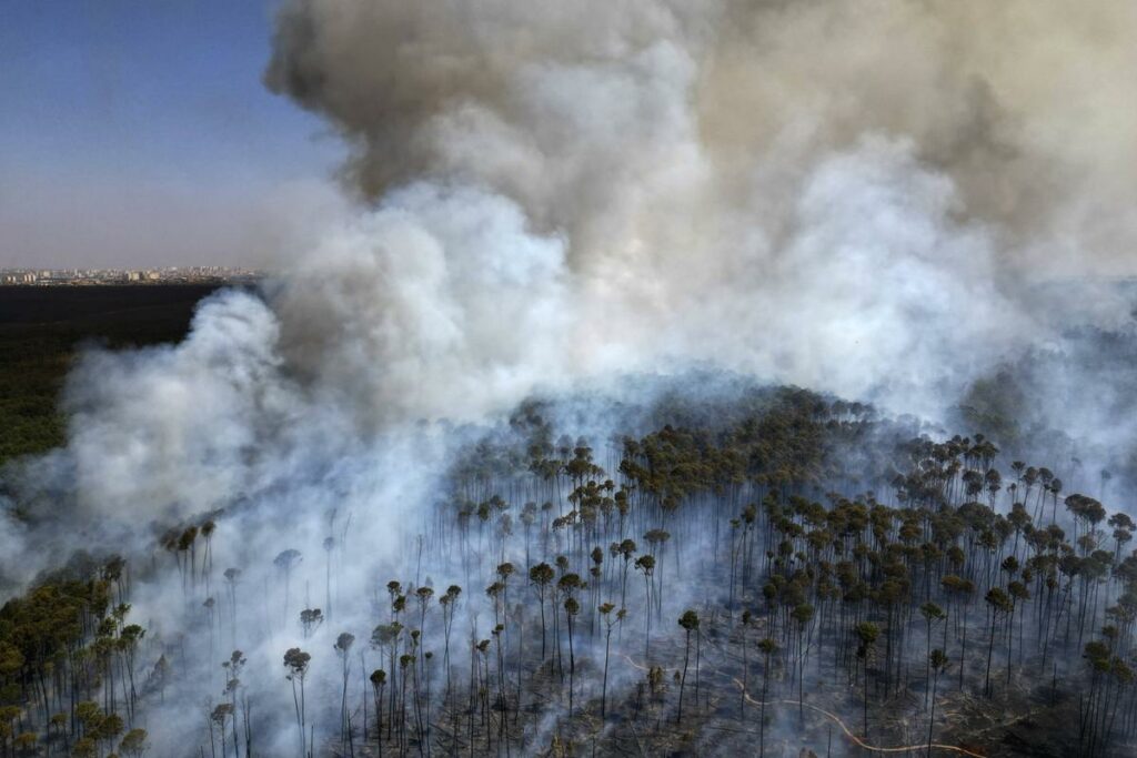 Le réchauffement climatique augmente les décès liés à la pollution provoquée par les incendies, selon une étude