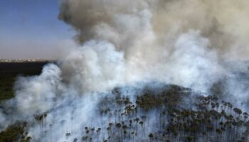 Le réchauffement climatique augmente les décès liés à la pollution provoquée par les incendies, selon une étude