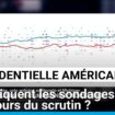 Présidentielle américaine : qu'indiquent les sondages à 15 jours du scrutin ?