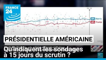 Présidentielle américaine : qu'indiquent les sondages à 15 jours du scrutin ?