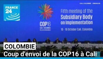 Colombie : coup d'envoi de la COP16 à Cali