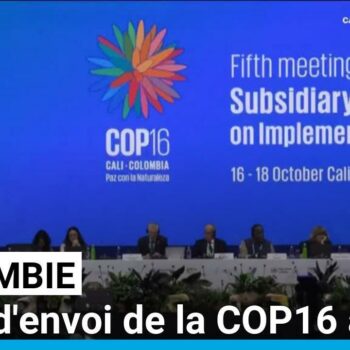 Colombie : coup d'envoi de la COP16 à Cali