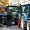 Des syndicats d'agriculteurs appellent à une reprise des manifestations "à partir du 15 novembre"