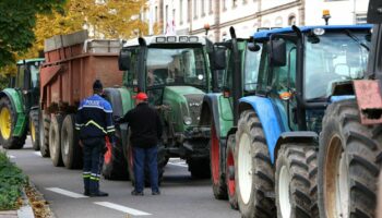 Des syndicats d'agriculteurs appellent à une reprise des manifestations "à partir du 15 novembre"