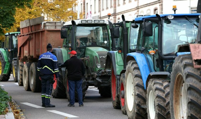 Des syndicats d'agriculteurs appellent à une reprise des manifestations "à partir du 15 novembre"