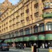 Man 'kidnapped and sexually assaulted' girl, 9, separated from parents outside Harrods