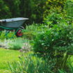 Tous ces Français doivent le faire dans leur jardin : l'oubli peut coûter jusqu'à 1500 euros d'amende