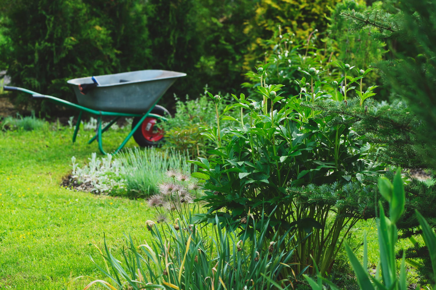 Tous ces Français doivent le faire dans leur jardin : l'oubli peut coûter jusqu'à 1500 euros d'amende