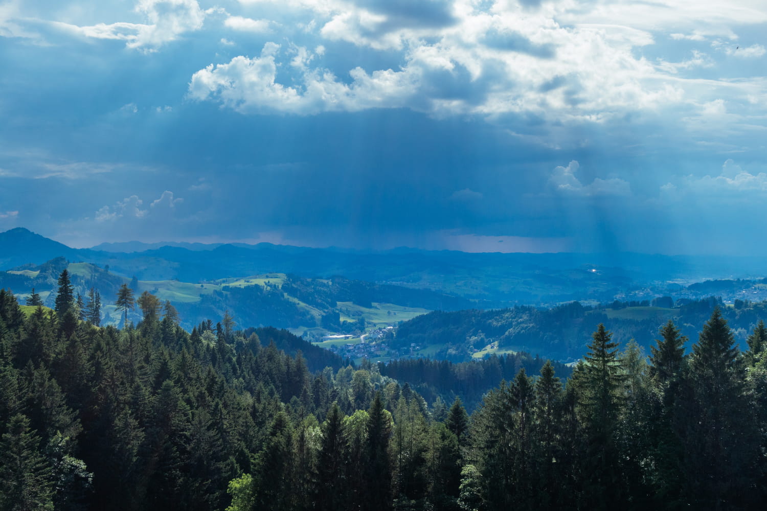 La météo de novembre, décembre et janvier se précise : la pluie s'annonce abondante (mais pas partout)