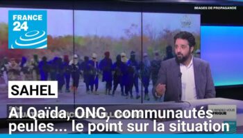 Sahel : Al Qaïda, ONG, communautés peules... le point sur la situation