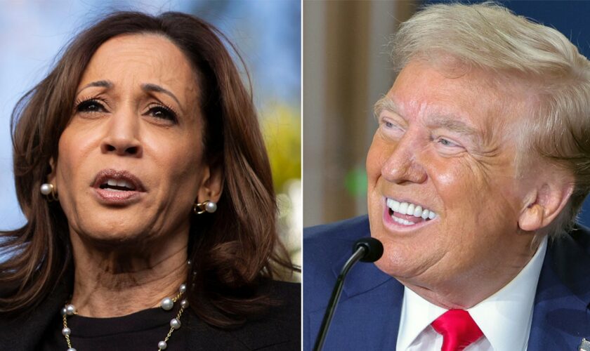 Trump with slight edge over Harris in this crucial western battleground: poll