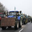 Les syndicats agricoles majoritaires appellent à des manifestations « à partir du 15 novembre »