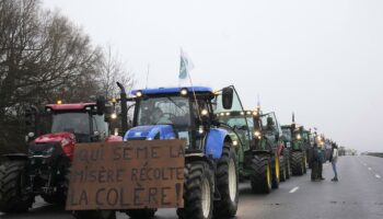 Les syndicats agricoles majoritaires appellent à des manifestations « à partir du 15 novembre »