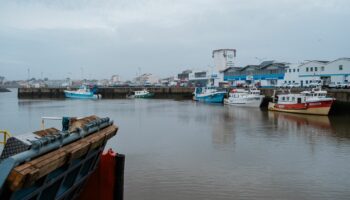 Les captures mortelles de dauphins ont été divisées par quatre lors du mois sans pêche dans le golfe de Gascogne