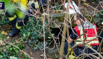 Bei Grünarbeiten: Leiche in Tunnelsystem in Mainz gefunden