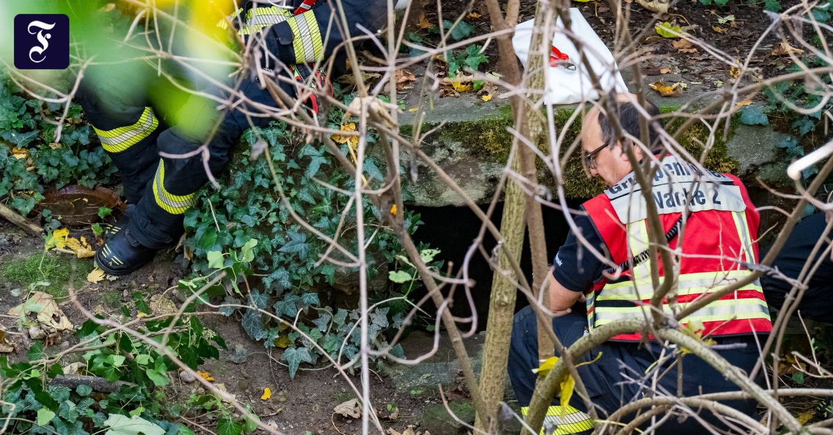 Bei Grünarbeiten: Leiche in Tunnelsystem in Mainz gefunden