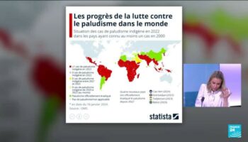 Comment l'Egypte a-t-elle éradiqué le paludisme après un siècle d'effort ?