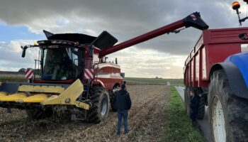 REPORTAGE. "On est écrasé par les charges et les normes" : désabusés et toujours en colère, les agriculteurs prêts à se remobiliser