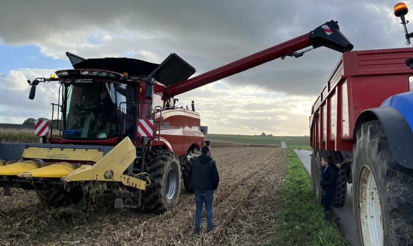 REPORTAGE. "On est écrasé par les charges et les normes" : désabusés et toujours en colère, les agriculteurs prêts à se remobiliser