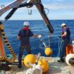 "On peut détecter avec une précision de 100 m" : en Méditerranée, des chercheurs français développent des dispositifs anticollisions avec les baleines