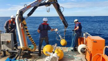 "On peut détecter avec une précision de 100 m" : en Méditerranée, des chercheurs français développent des dispositifs anticollisions avec les baleines