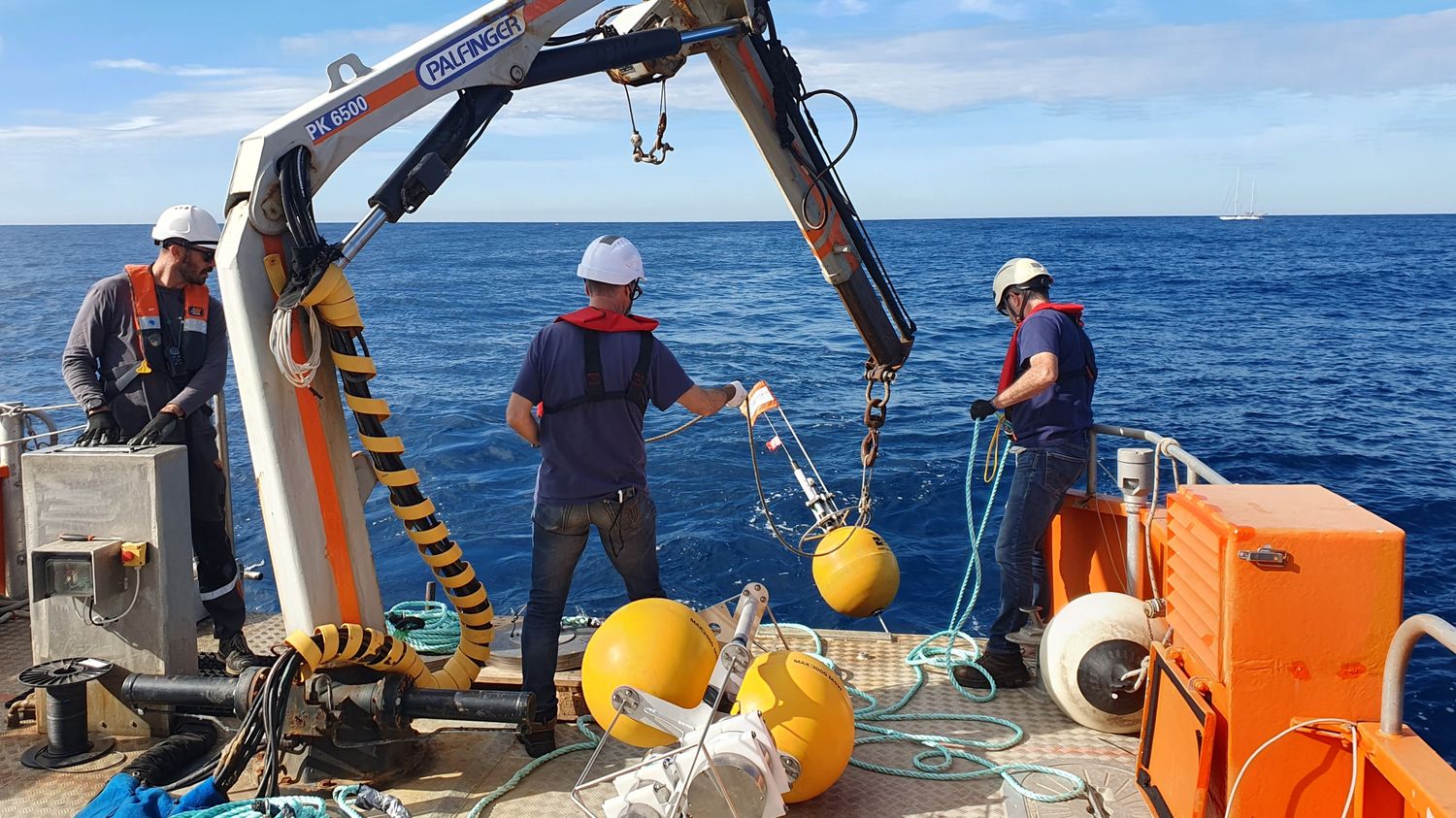 "On peut détecter avec une précision de 100 m" : en Méditerranée, des chercheurs français développent des dispositifs anticollisions avec les baleines