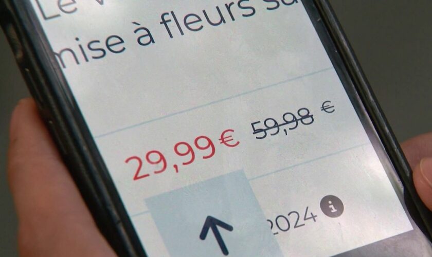 Prix barrés : bonne affaire ou pratique trompeuse ?