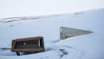 Guerre à Gaza : des graines de Palestine envoyées en Arctique pour sauver le patrimoine génétique agricole