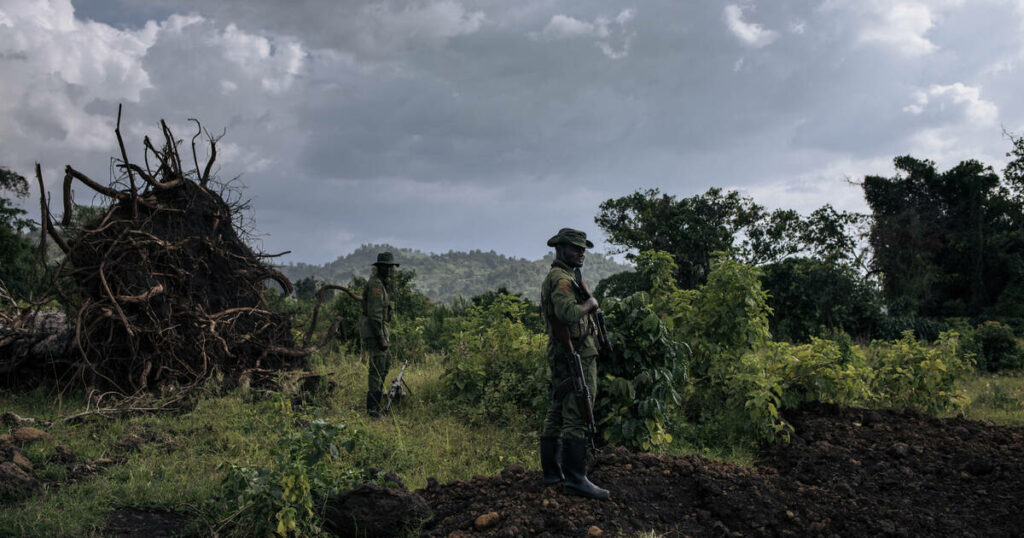 RDC : le combat de Bantu Lukambo pour sauver un paradis naturel malgré la guerre